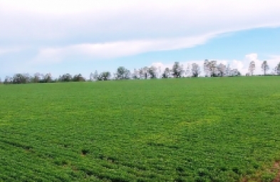 Fazenda para venda em Avaré